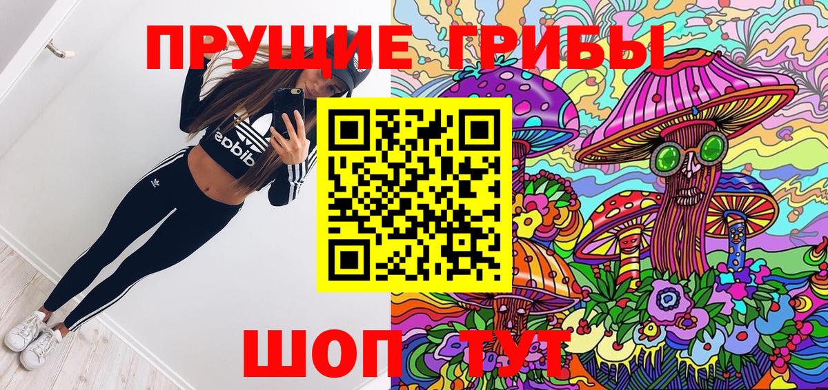 Галлюциногенные грибы Psilocybine cubensis Гусиноозёрск