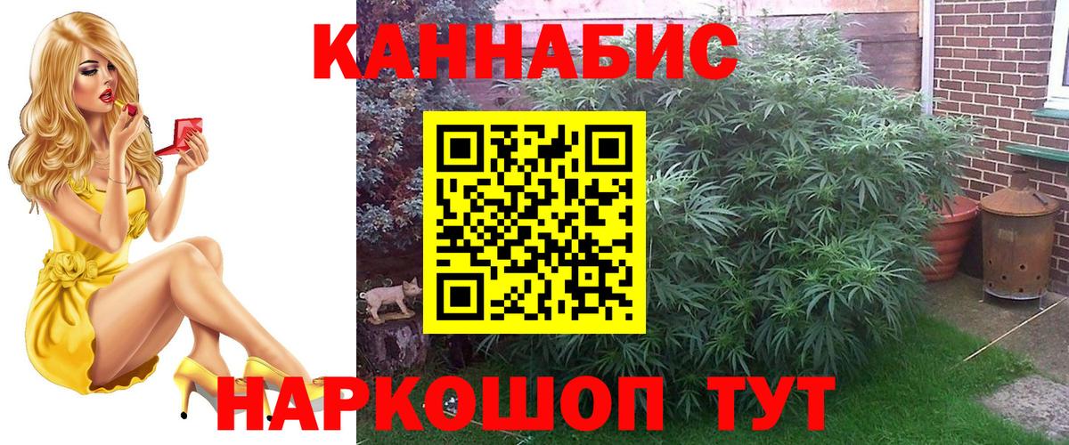 Бошки марихуана план  Бошки Шишки тримм  Гусиноозёрск  Каннабис White Widow  Вход с VPN 
